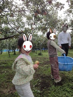りんご狩り＃１.JPG
